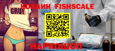 гидра Камышлов