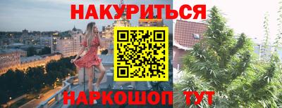 гидра Камышлов