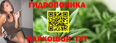 гидра Камышлов
