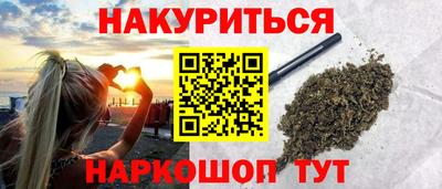 гидра Камышлов