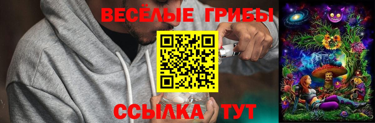 Камень-на-Оби  Псилоцибиновые грибы прущие грибы  Псилоцибиновые грибы прущие грибы  Вход с VPN 