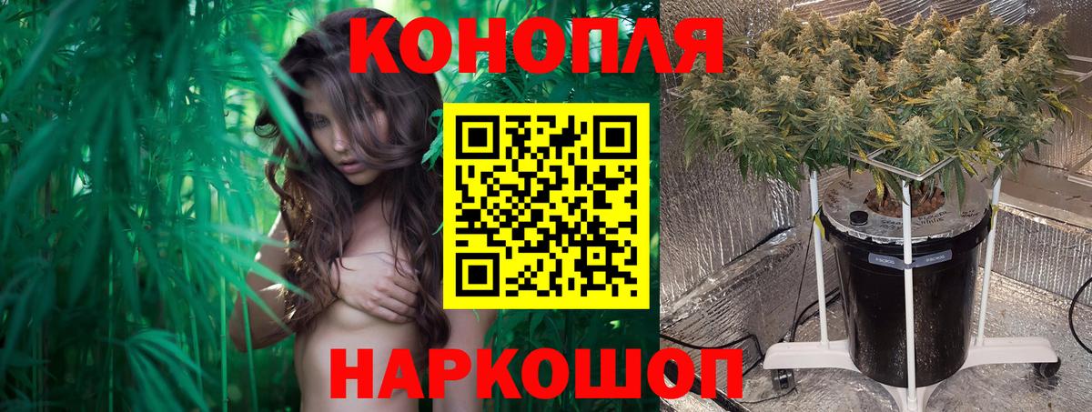 Канабис конопля  МАРИХУАНА индика  Конопля Amnesia  Вход с VPN  Камень-на-Оби  Марихуана гибрид 